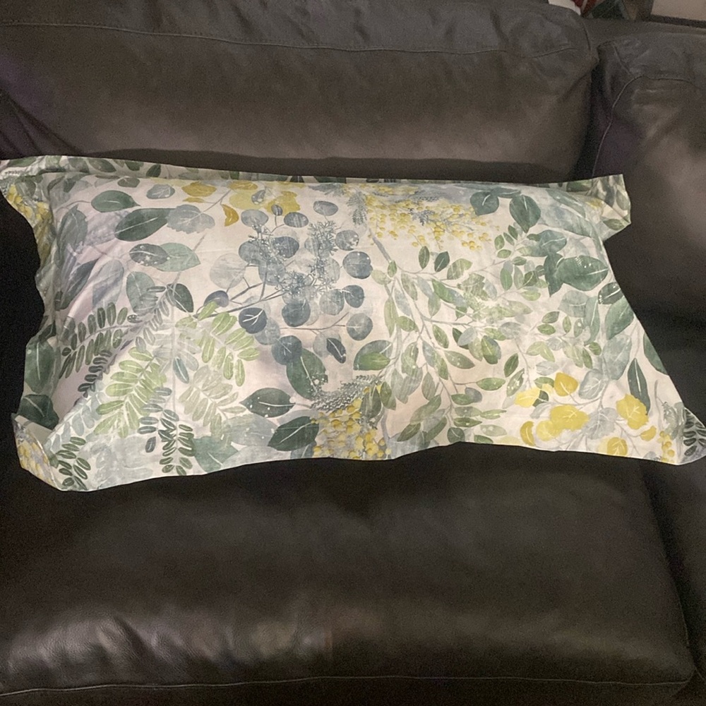 Pottery Barn Botanical Garden Organic Percale One (1) King Sham 100% Cotton NWT